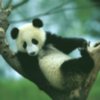 costcenterr@aport2000.ru's Avatar